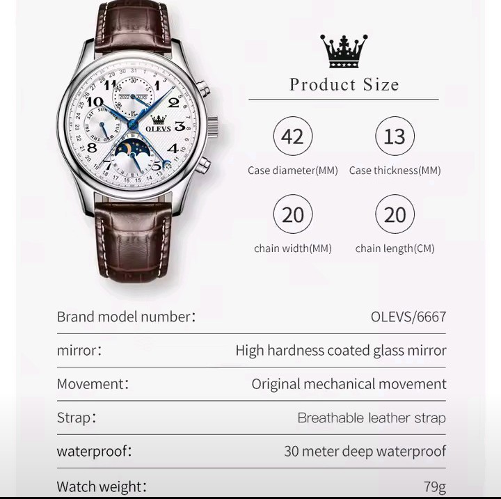 OLEVS 6667 dimensions and specifications